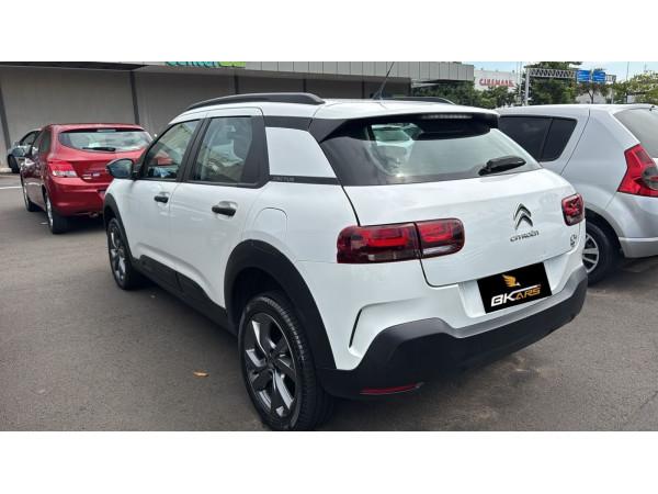 C4 Cactus - Foto